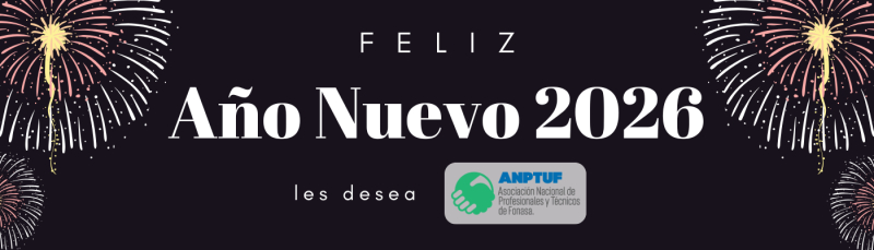&iexcl;Feliz A&ntilde;o Nuevo 2026!