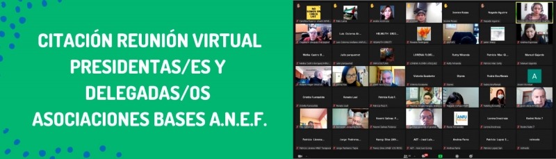 Citación reunión virtual presidentas/es y delegados asociaciones bases ANEF
